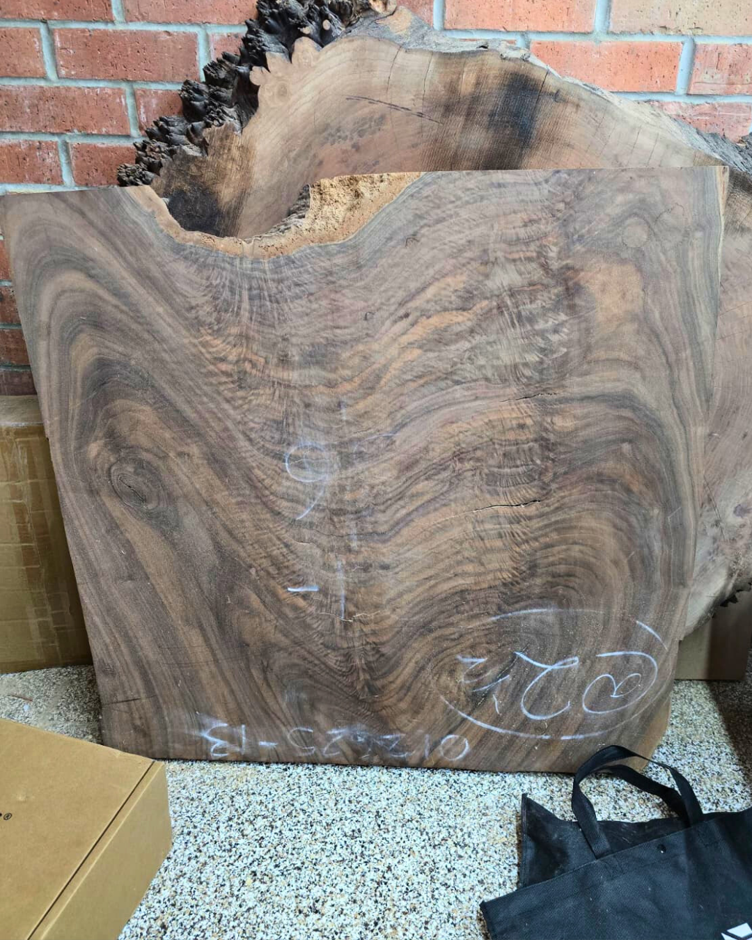 Oregan Black Walnut Slab: Coffee Table