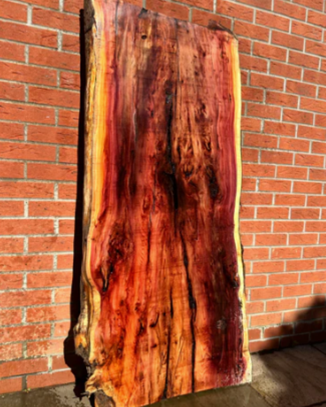 YEW SLAB 3
