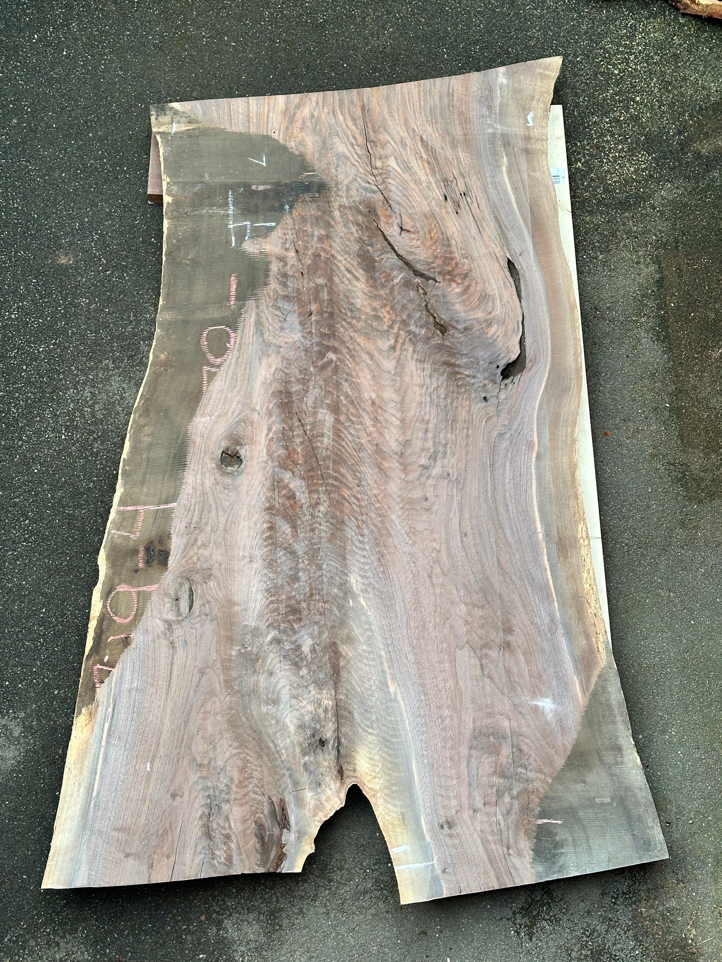 OREGON BLACK WALNUT SLAB