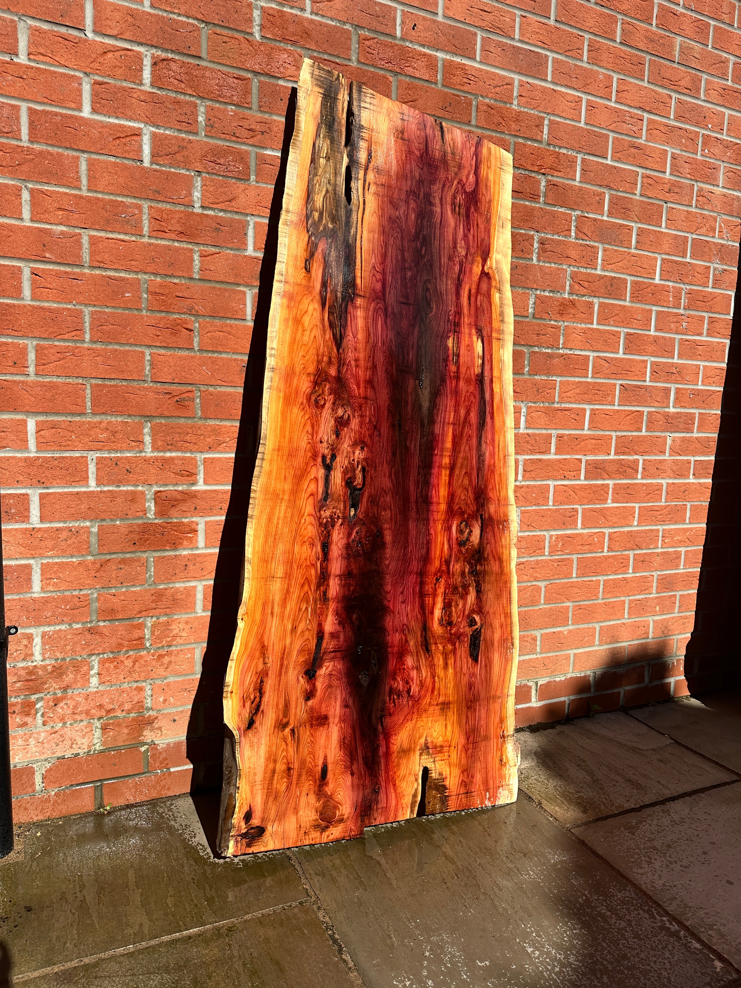 Yew Slab 1