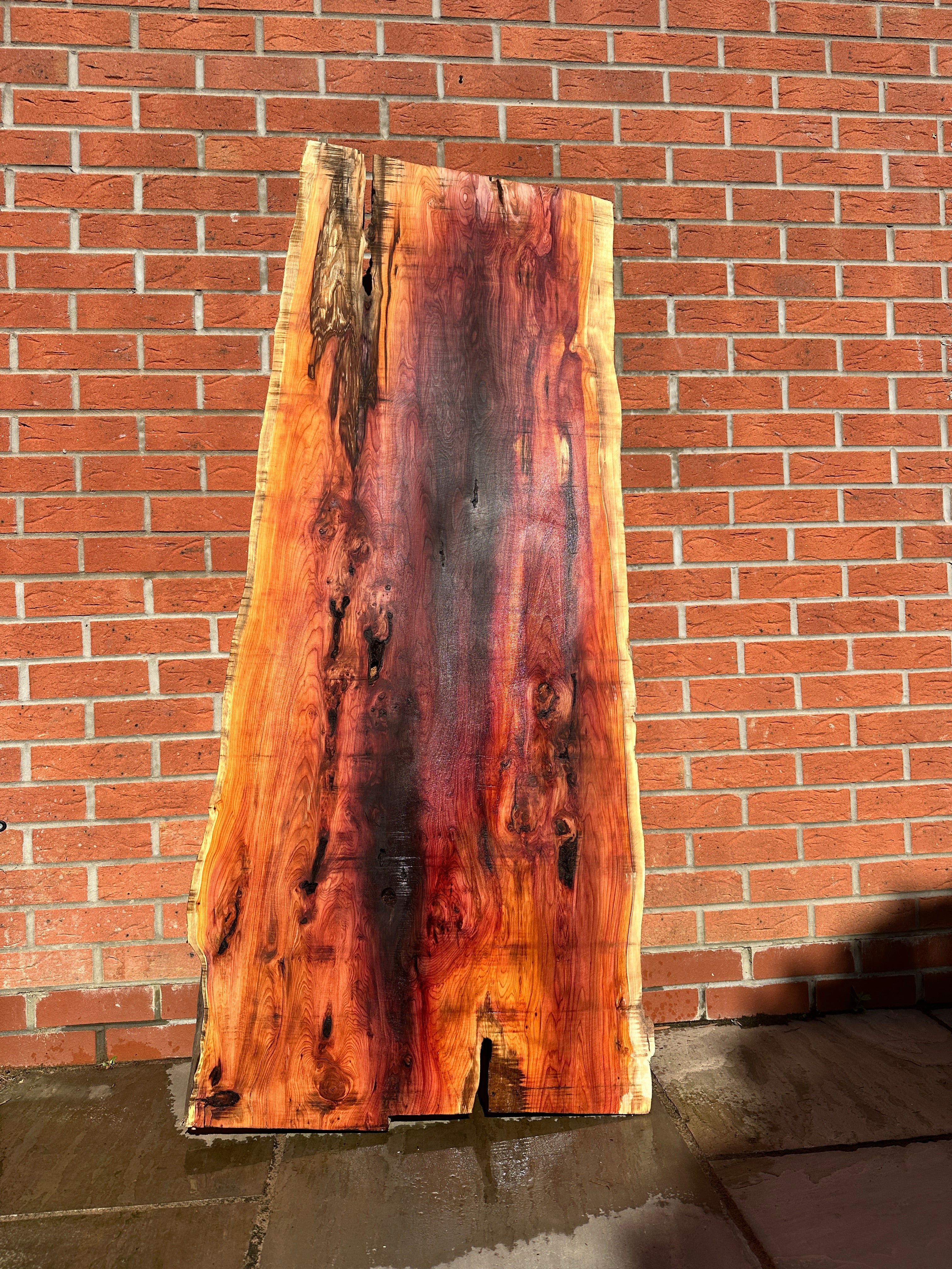 Yew Slab 1