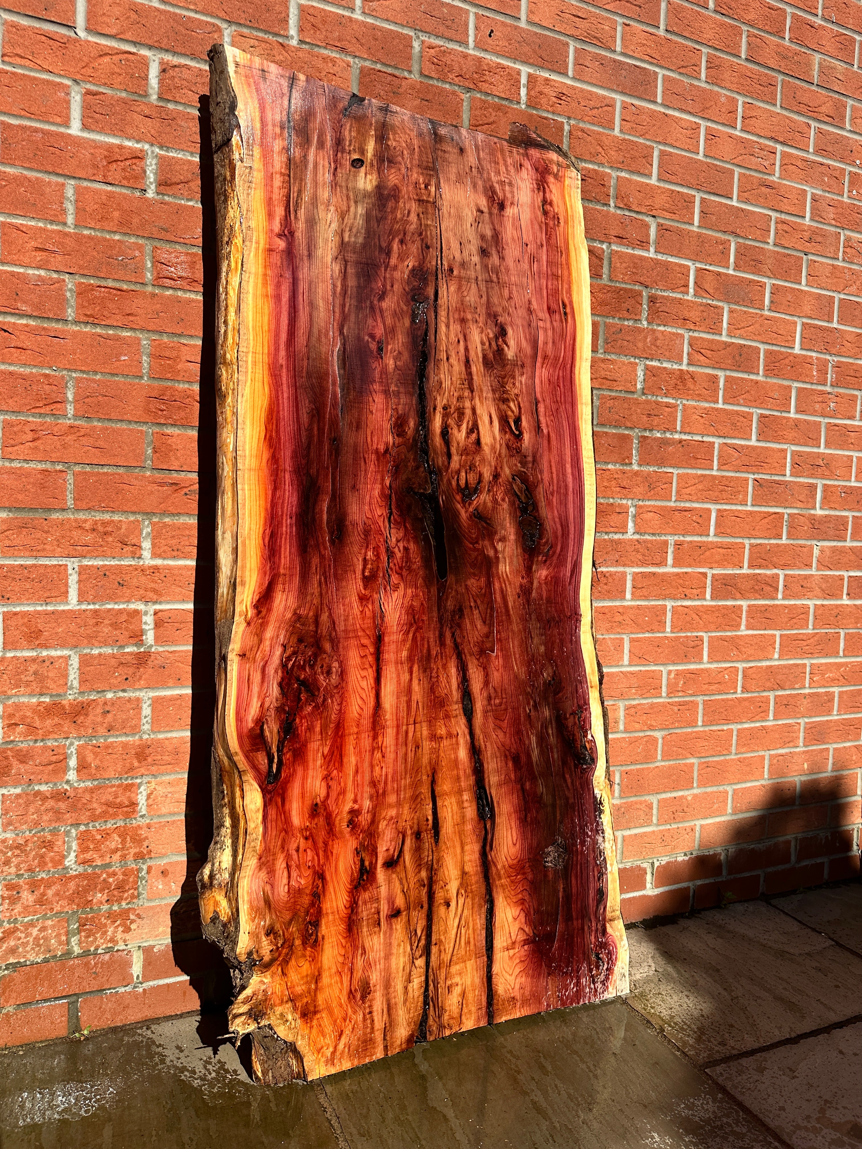 Yew Slab 2