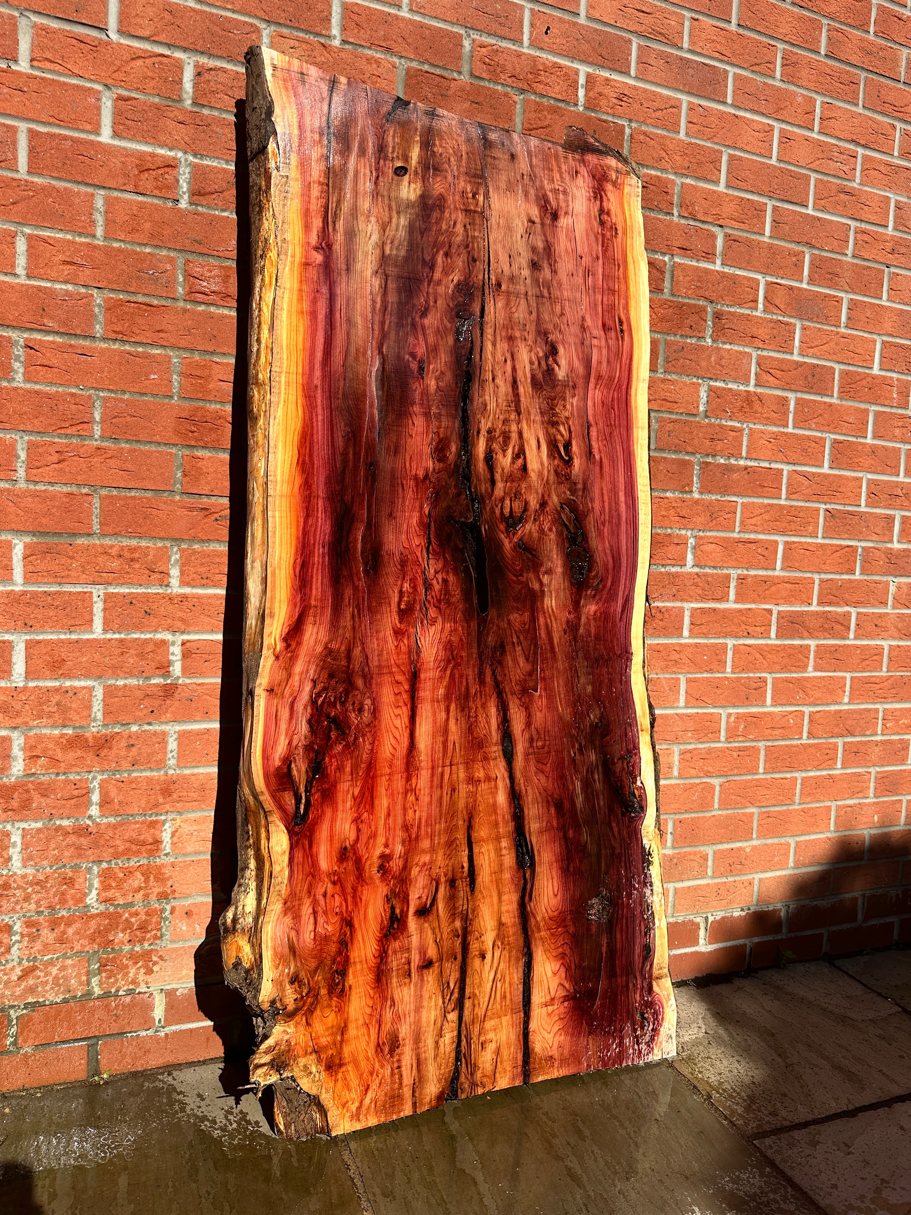 Yew Slab 2