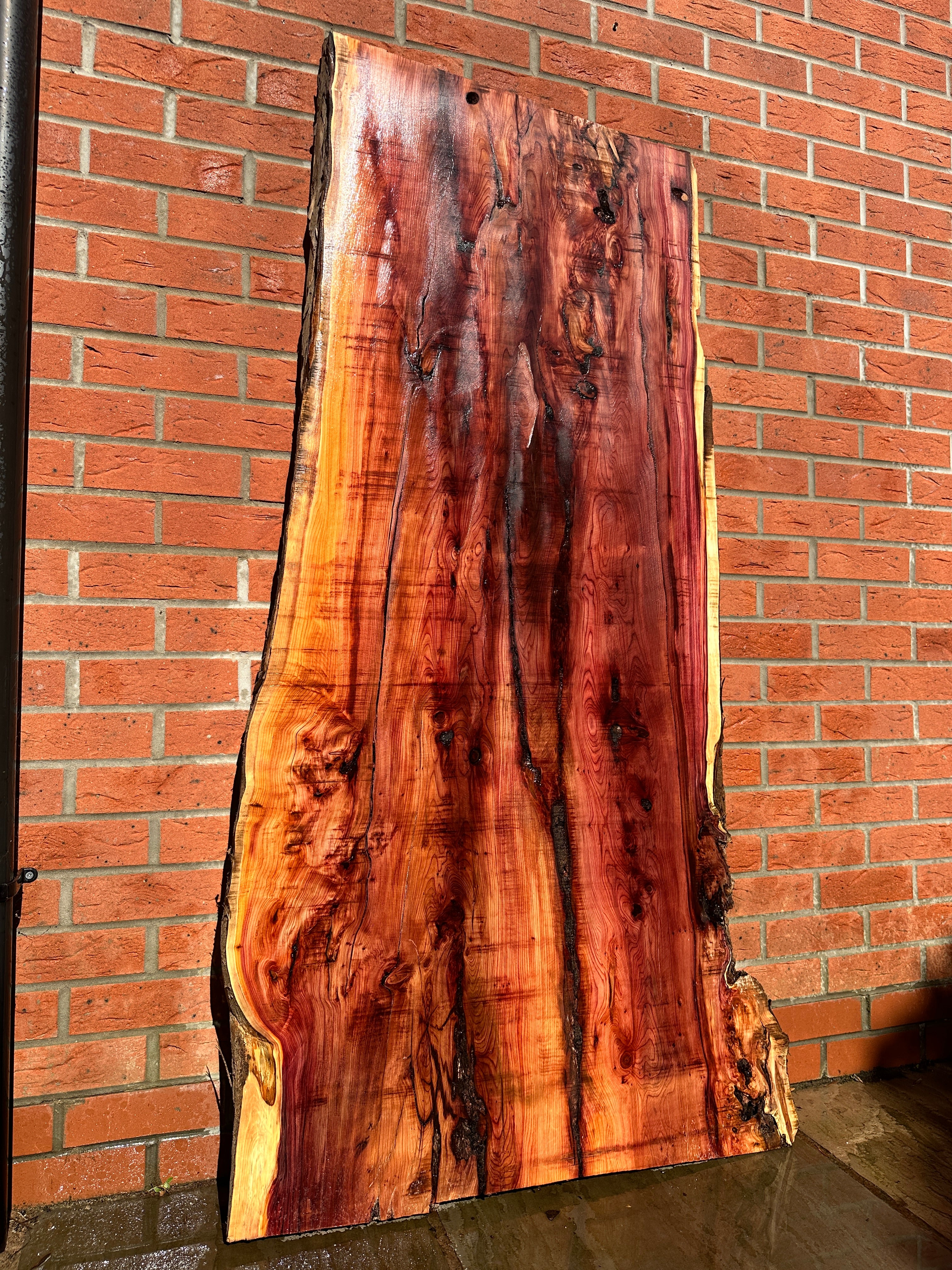 Yew Slab 3