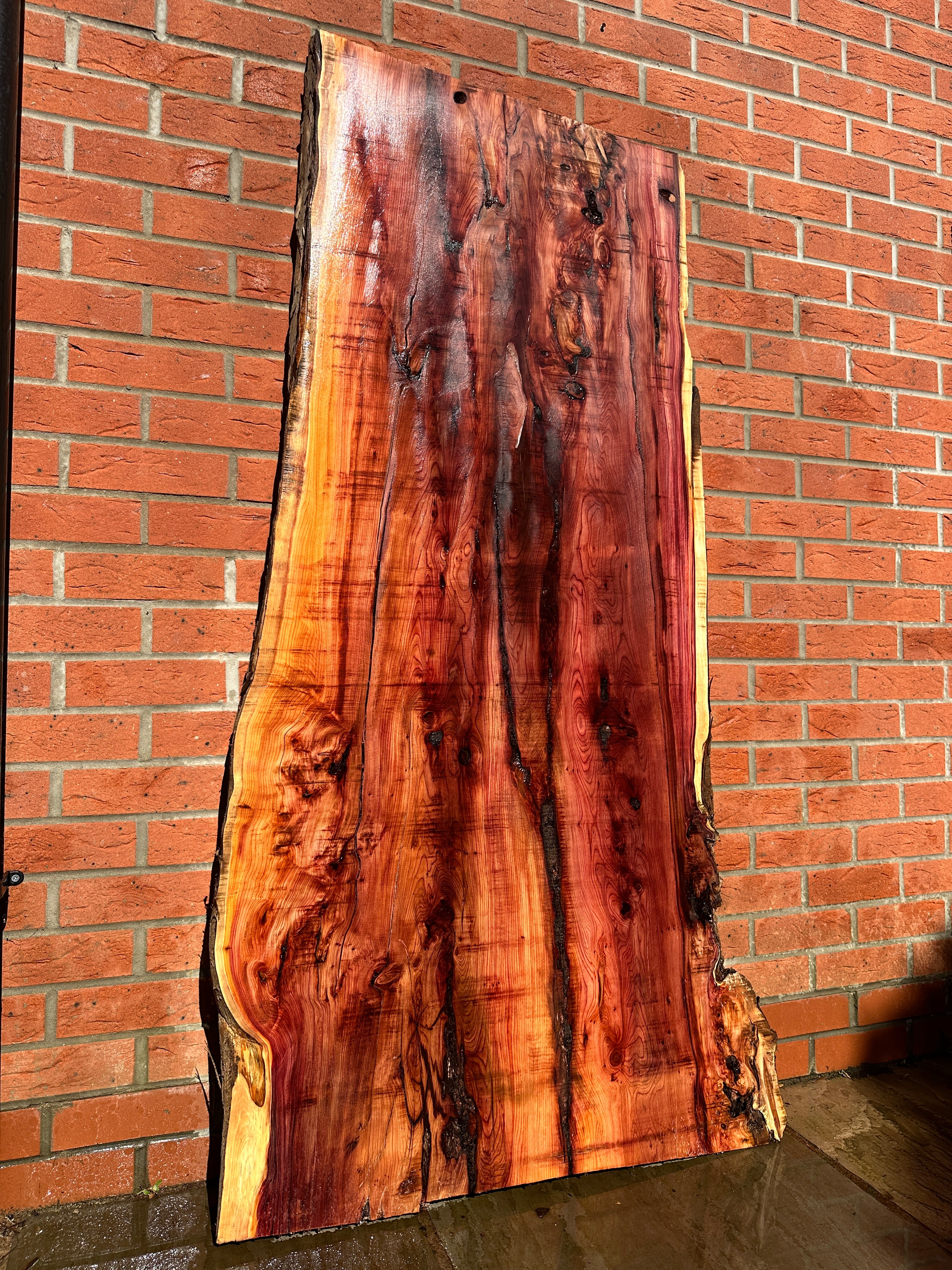 Yew Slab 3