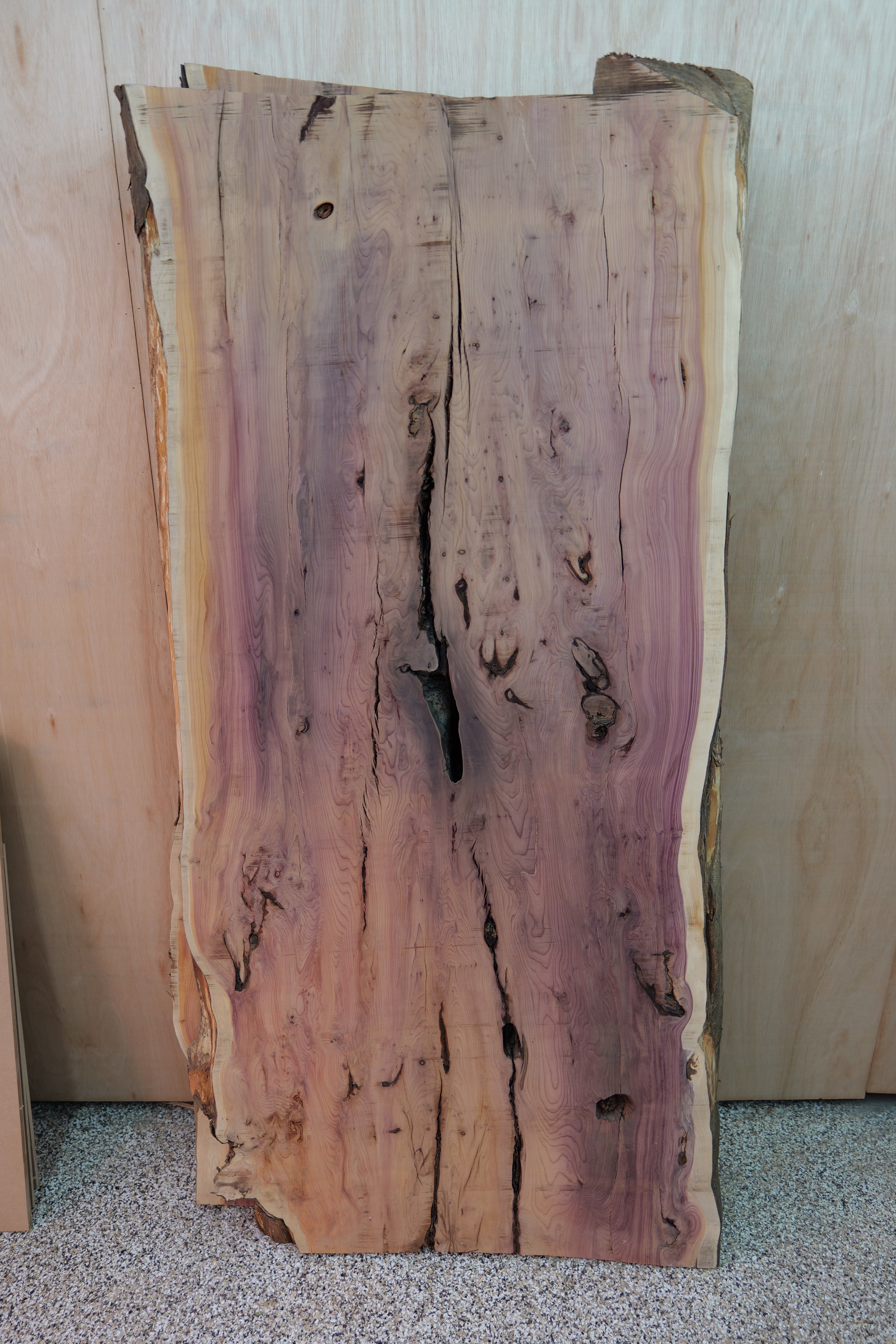 YEW SLAB 1