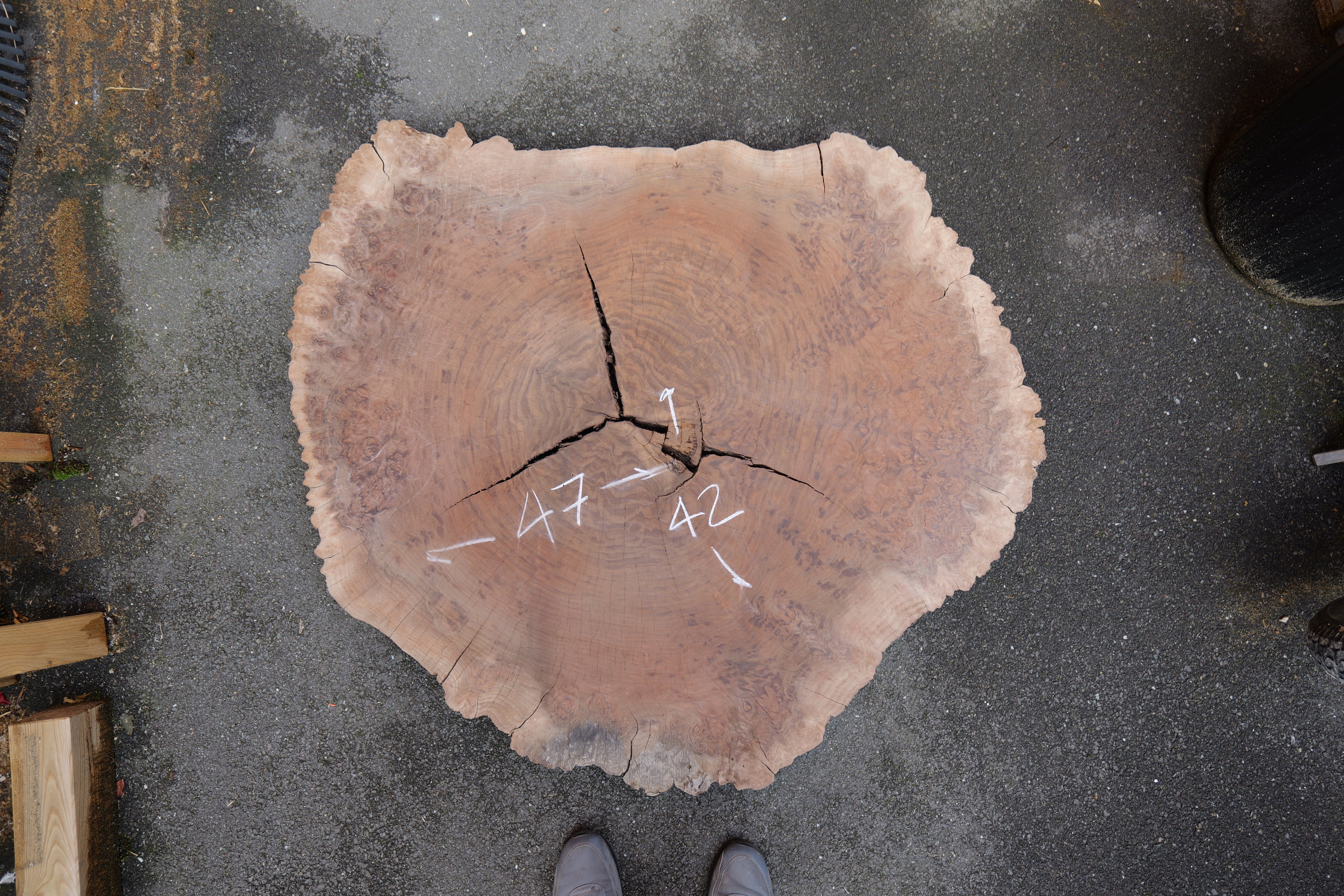 OREGON BLACK WALNUT BURL ROUND