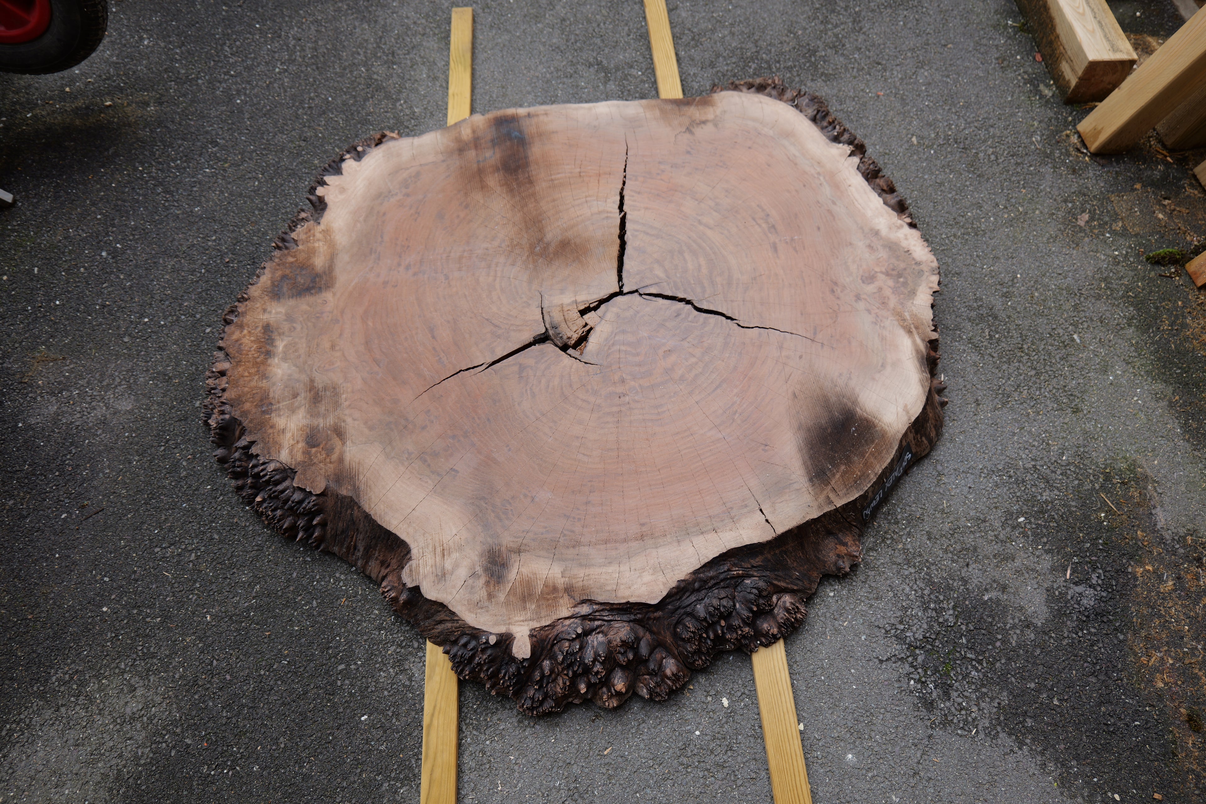 OREGON BLACK WALNUT BURL ROUND