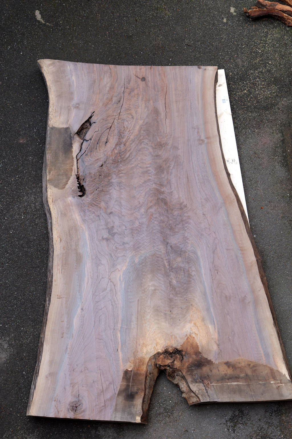 OREGON BLACK WALNUT SLAB