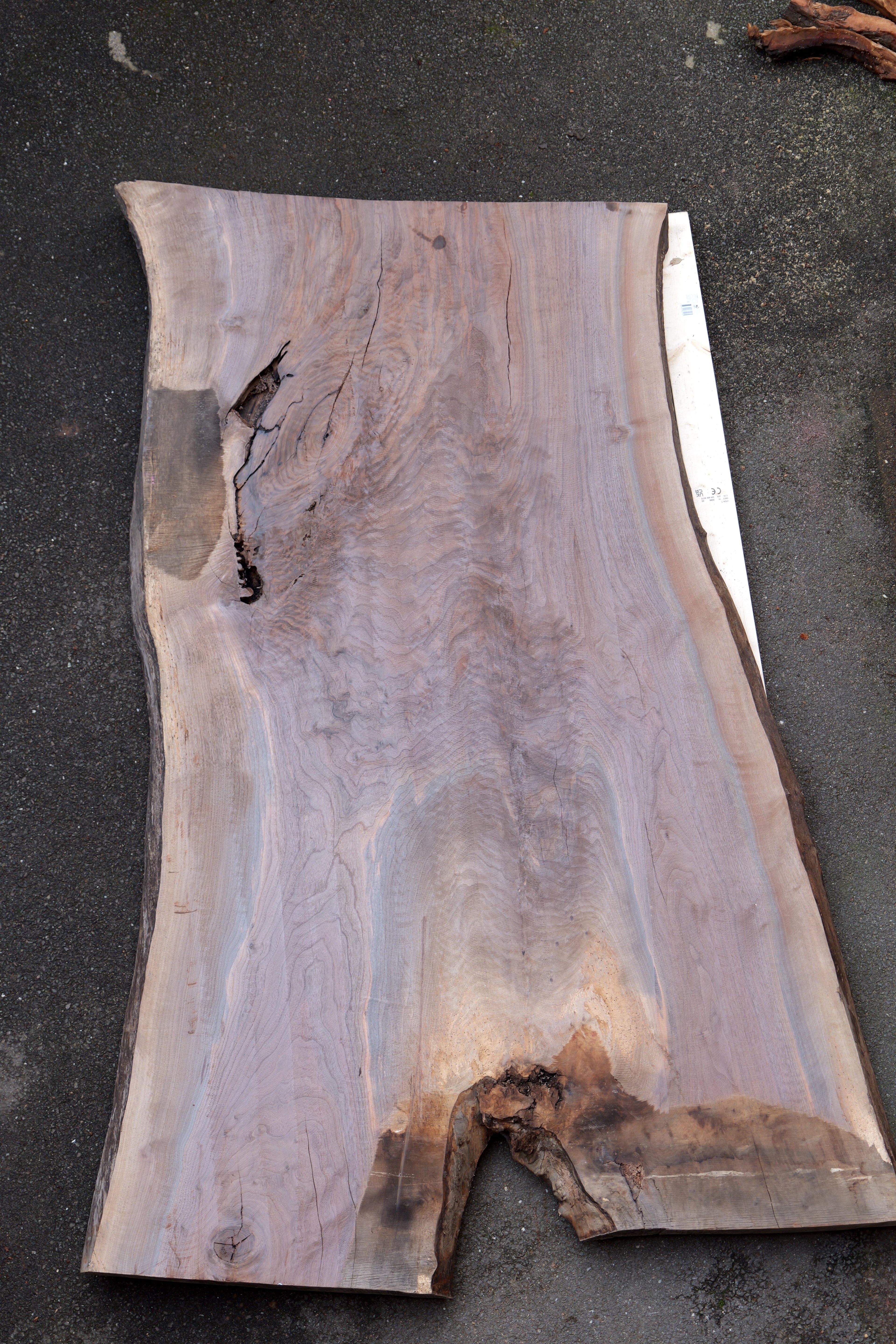 OREGON BLACK WALNUT SLAB